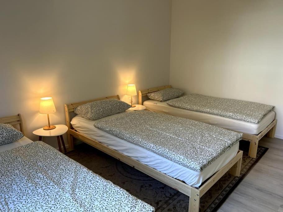 Country Style Apartment With Balcony Near Fair 汉诺威 外观 照片