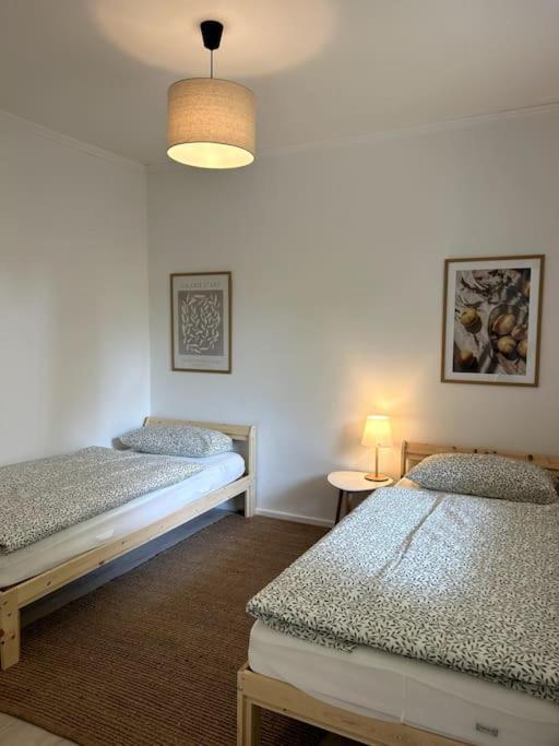 Country Style Apartment With Balcony Near Fair 汉诺威 外观 照片